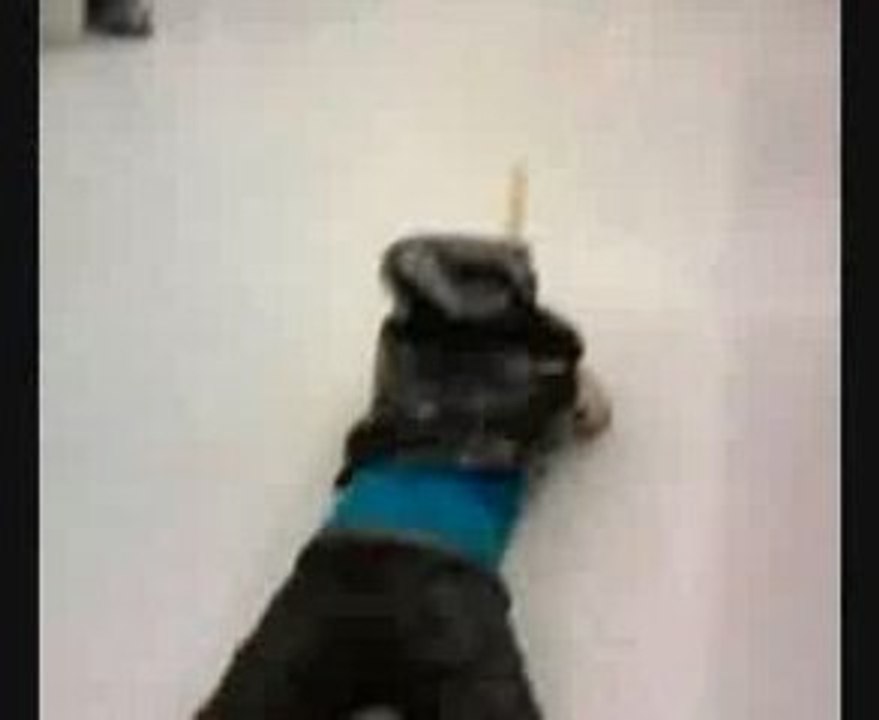 malade mini guerre au trio