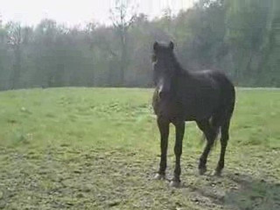 CLIP0024
