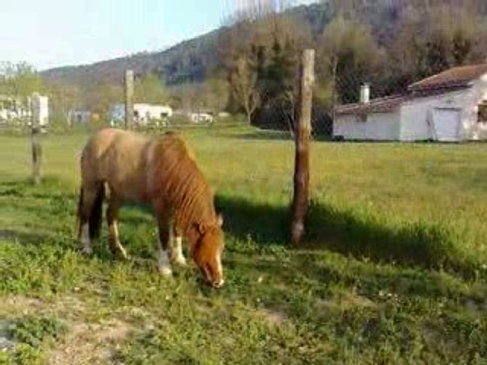 Thypie "Laisse moi !!! Je mange !!! "