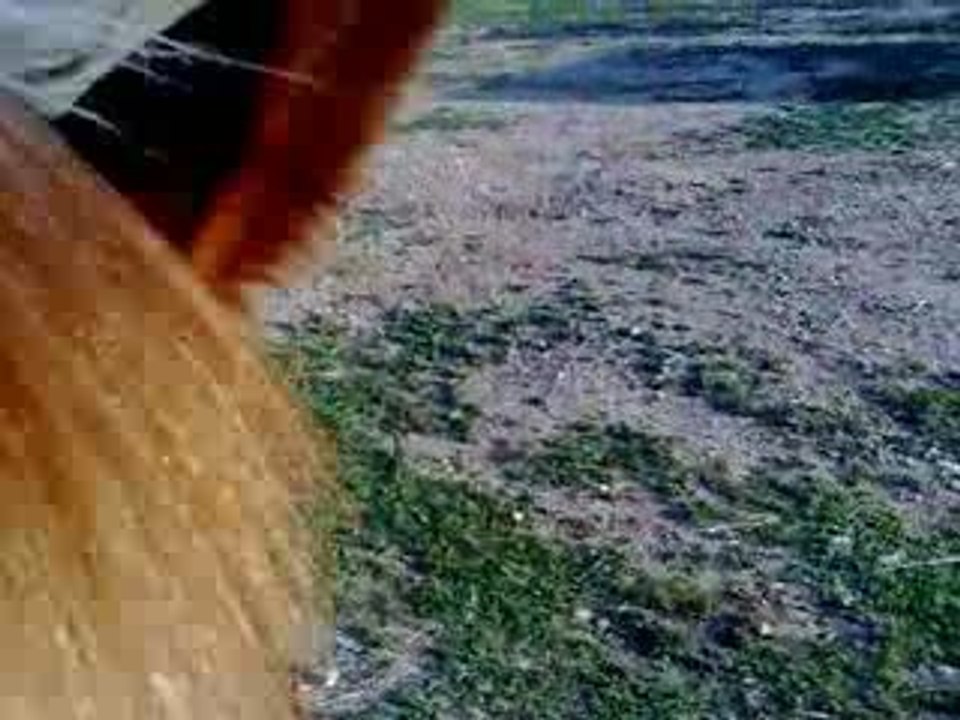 Thypie et Uhaïna "RAS"