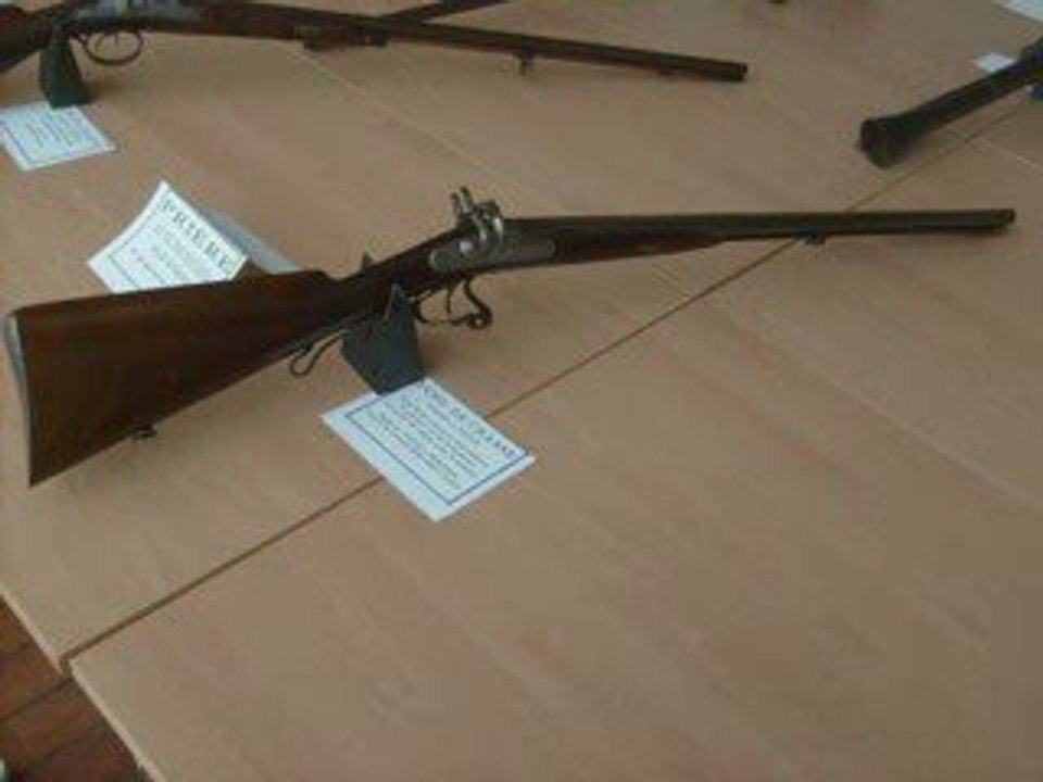 Exposition armes de chasse