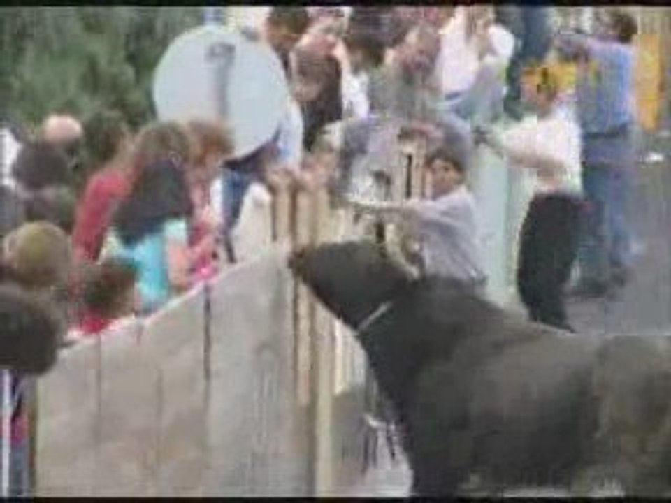 meurtre de taureau skills cow!!!