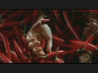 The mistress of spices dernieere partiie