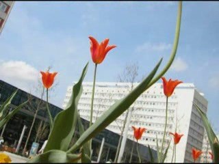 Odd News - myinboxnews.com