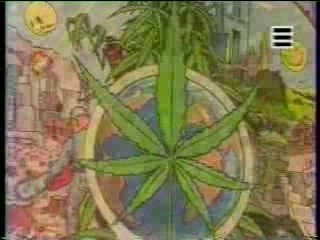 Cannabis=écologie anti-pollution