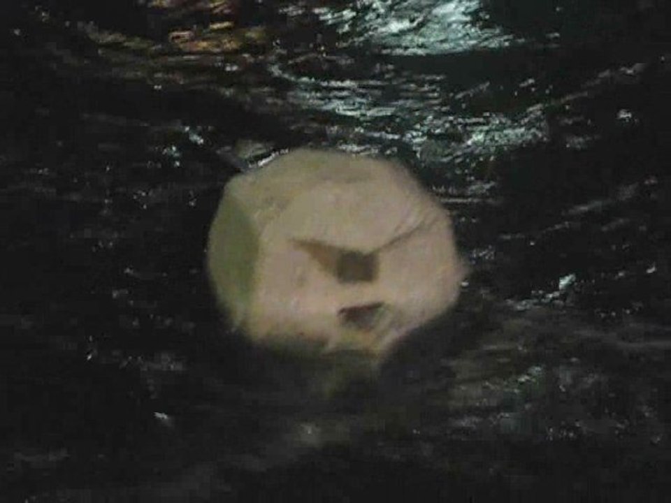 Open_Sailing prototype 2 Paris