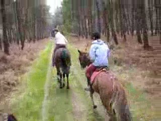 Galop en forêt!