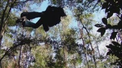 Shallow - Live @Angela Peralta