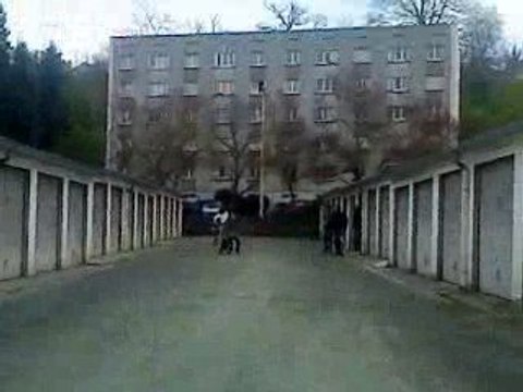 La mobylette xD , cte journée géniale