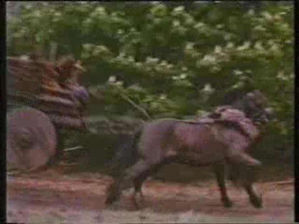 "Willow" - trailer PL