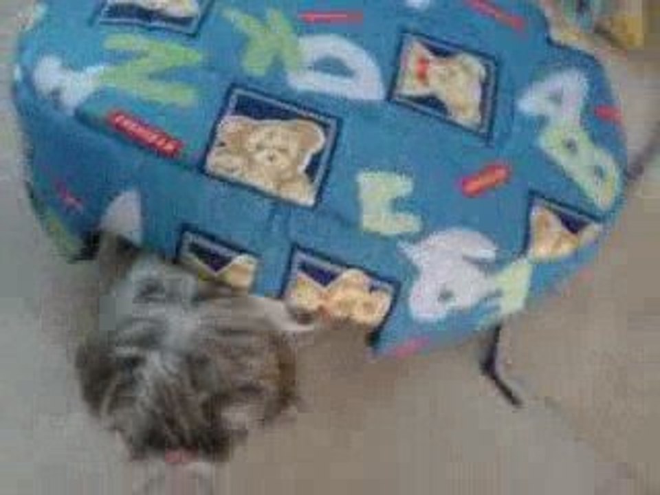 KALINE SE PREND POUR 1 ESCARGOT! MDR