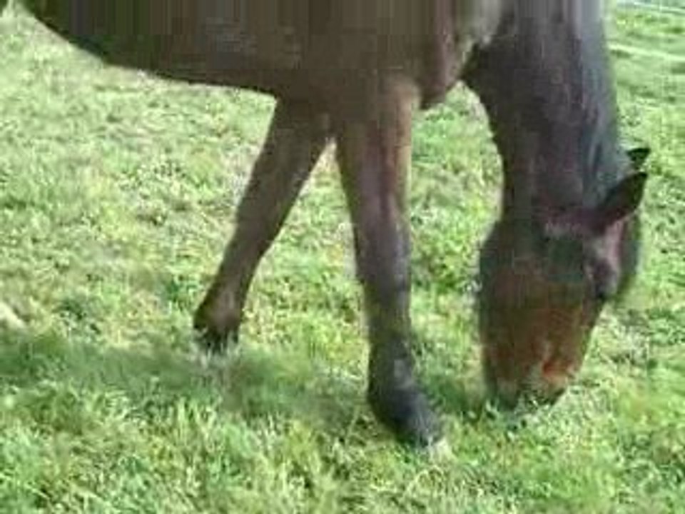CLIP0027