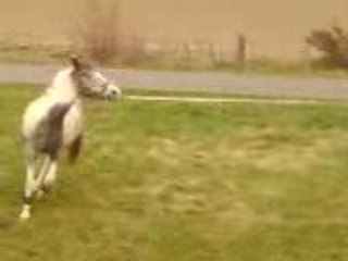 cheyenne qui saute avec océane et mwa