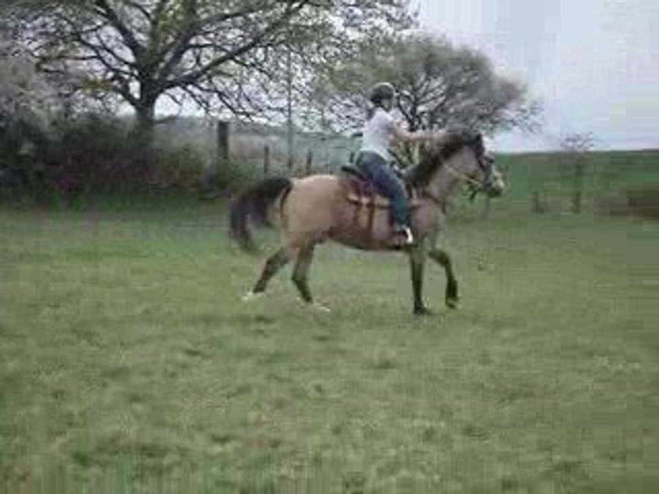 eldo & ibé galop