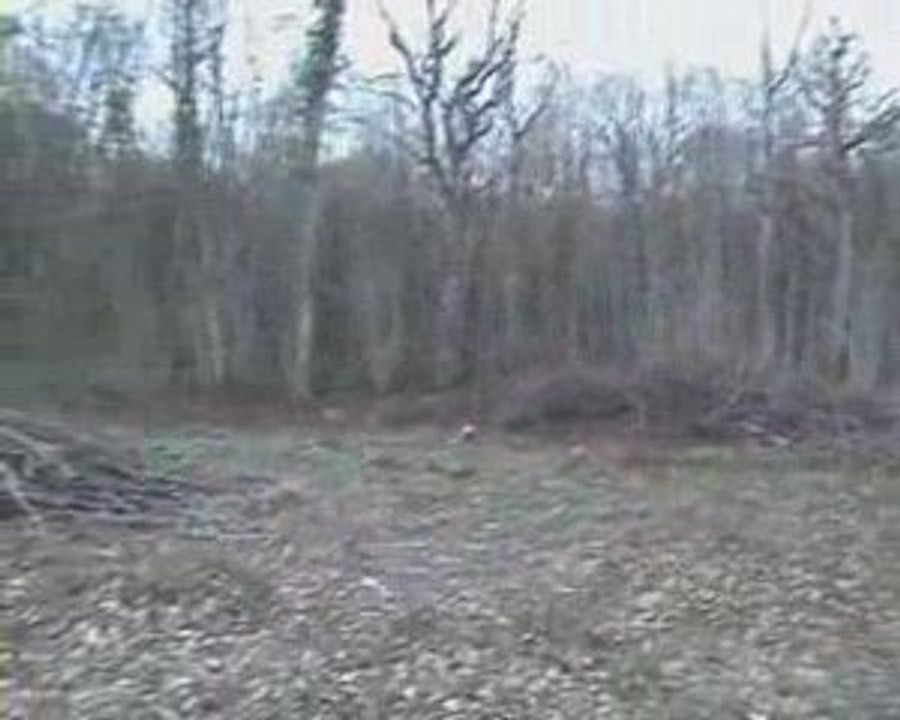 Parc epinac