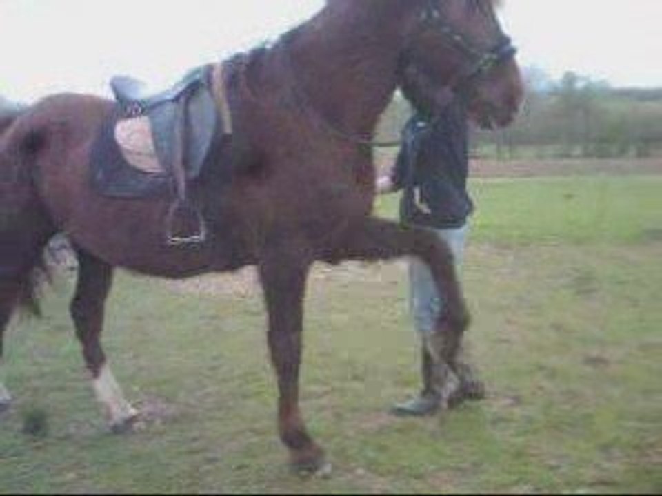 Haribo début d'un pas espagnol