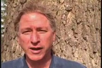 Ripple Effect - Bee Kits - WSU