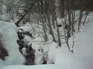 Rivière sous la neige