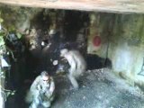 airsoft a beaulieu (defence de bunker)