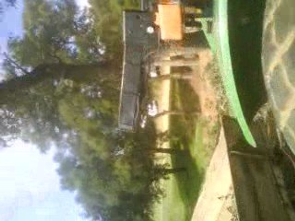 elagage de chene dans golf avec dédé