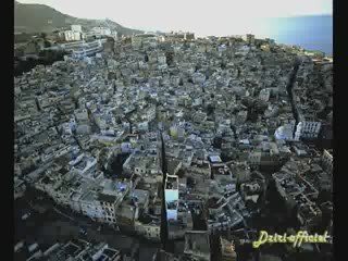 Samy El Djezairi - Ya Zahra 🎶 | Classic Algerian Song Revival