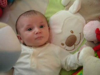 Basile en mode éveil - 1 mois 1/2