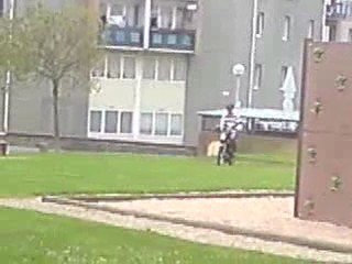 la buche de mon zinc