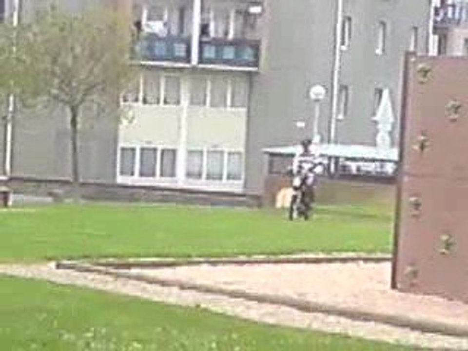 la buche de mon zinc