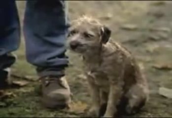 Funny Bud Light beer commercial - Good_Dog