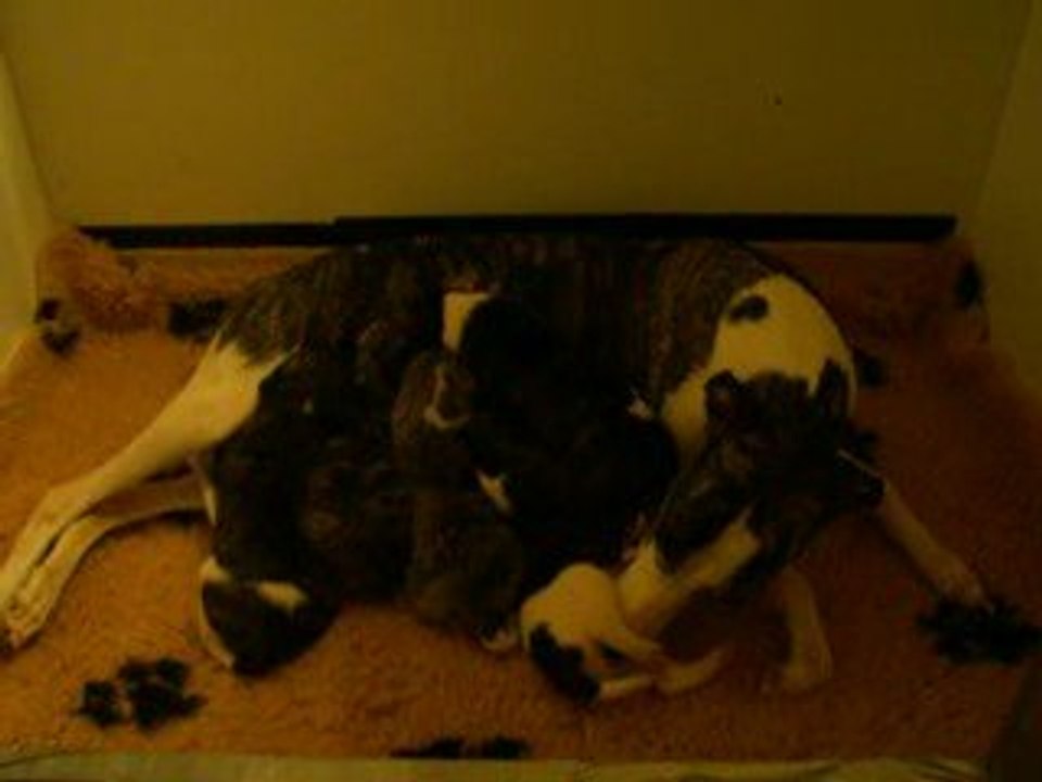 Les garçons OF BLUE OF NICE à 15 JOURS