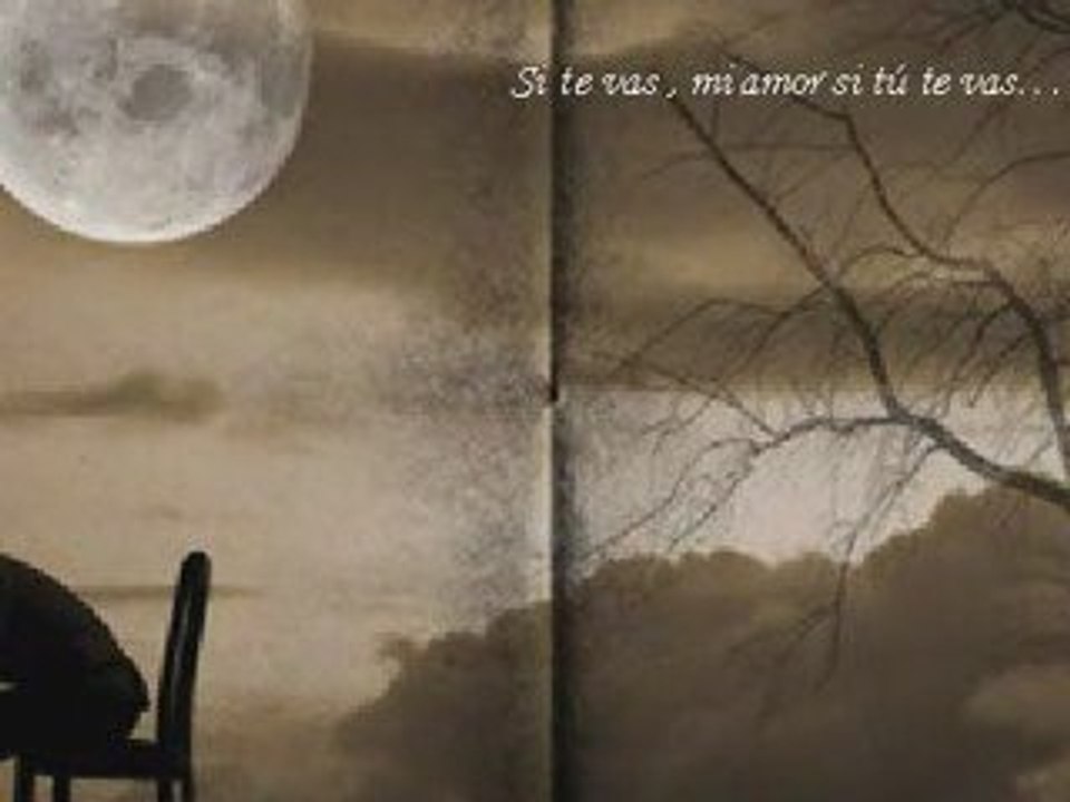 SI TE VAS