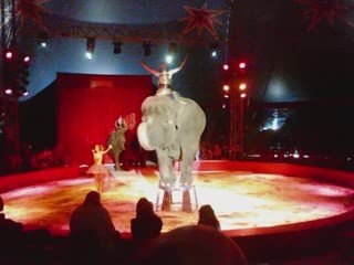 Cirque MEDRANO 2009  sur NICE