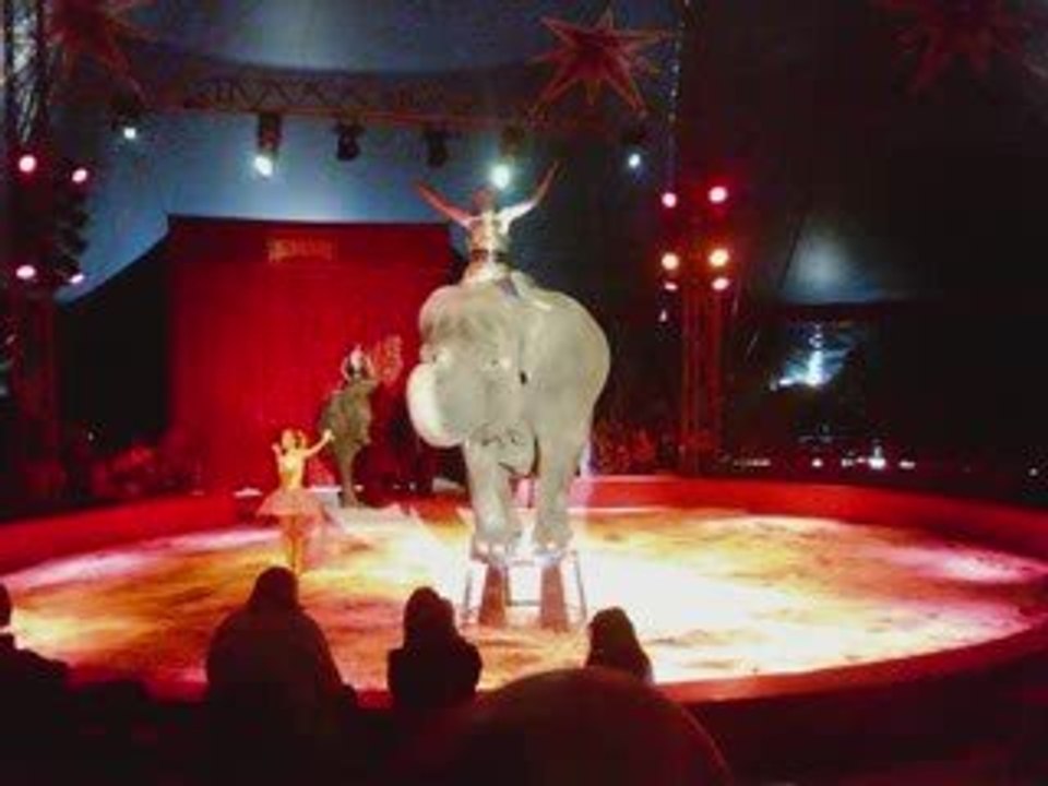Cirque MEDRANO 2009  sur NICE