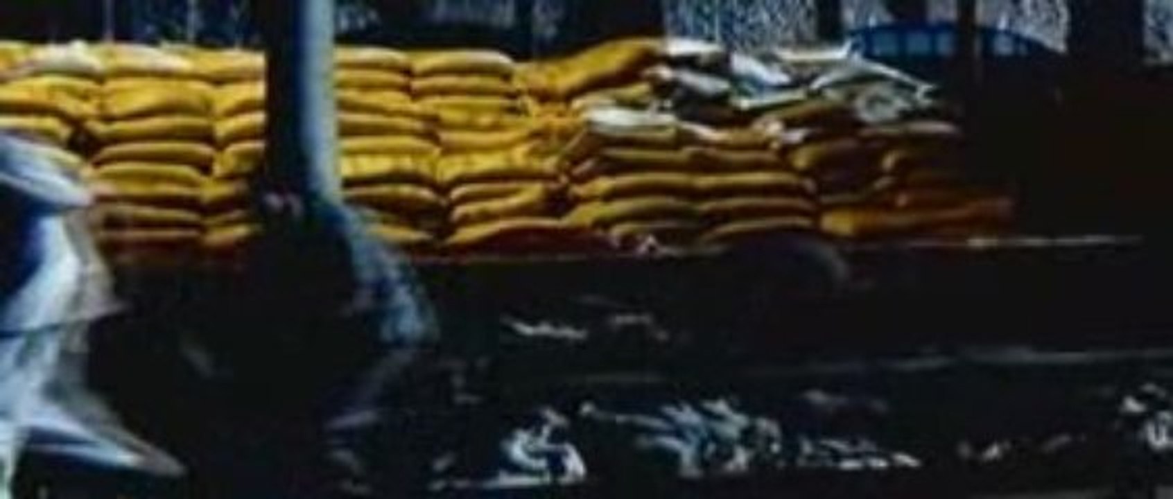 DesiRulez.NET | Barah Aana | pDVD Rip | Part 5 of 5