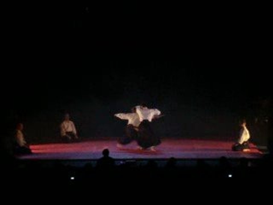 aïkido festival des arts martiaux