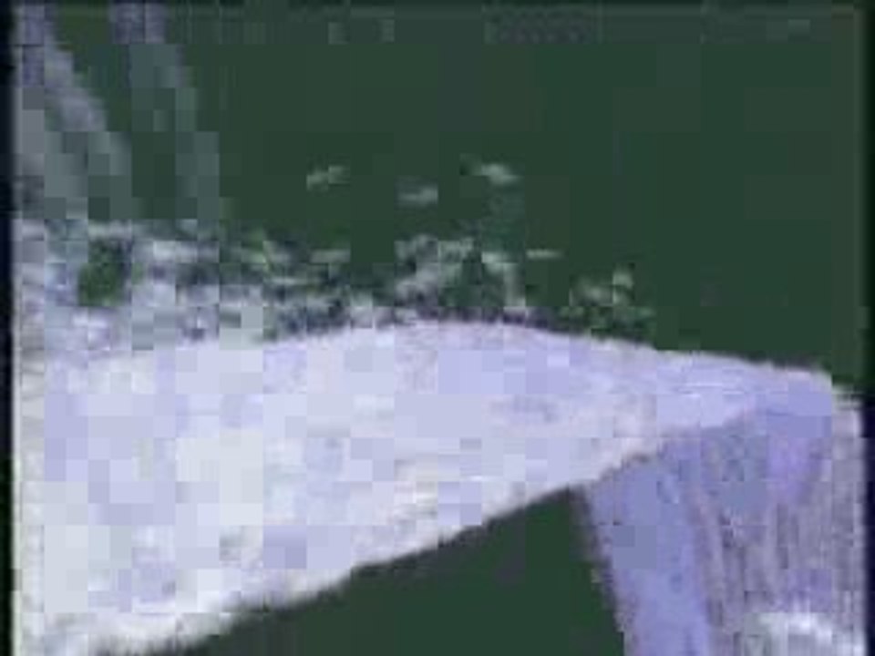 Particle Dreams by Carl Sims