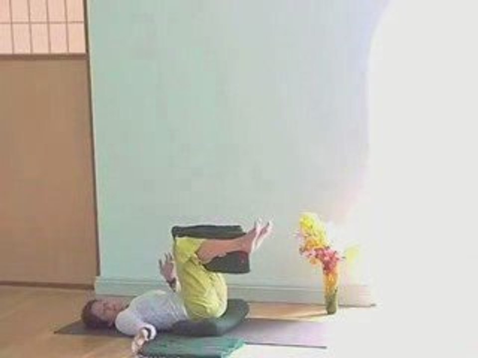Soothing the Panic: Twisting the Spine 7of8