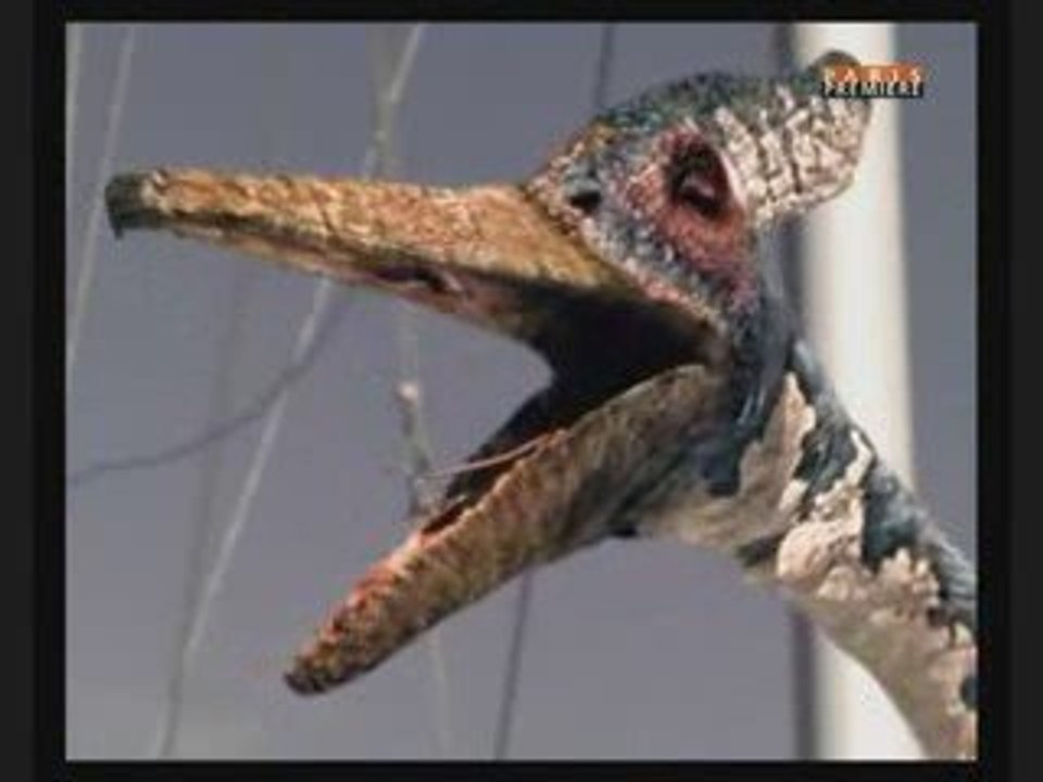 Monstre des mer part 7