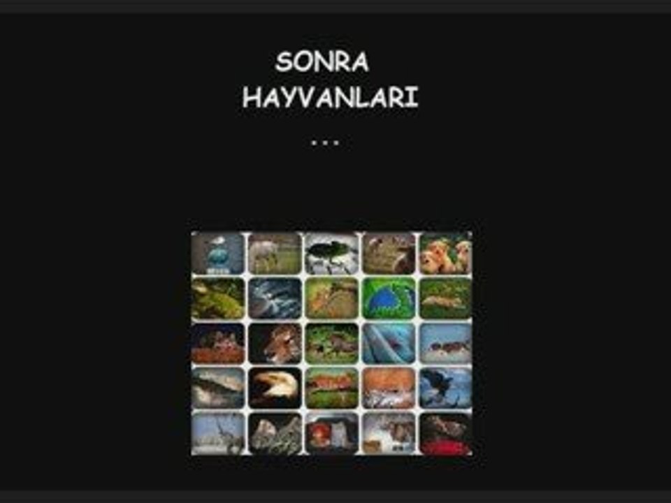 ve tanrı onu yarattı