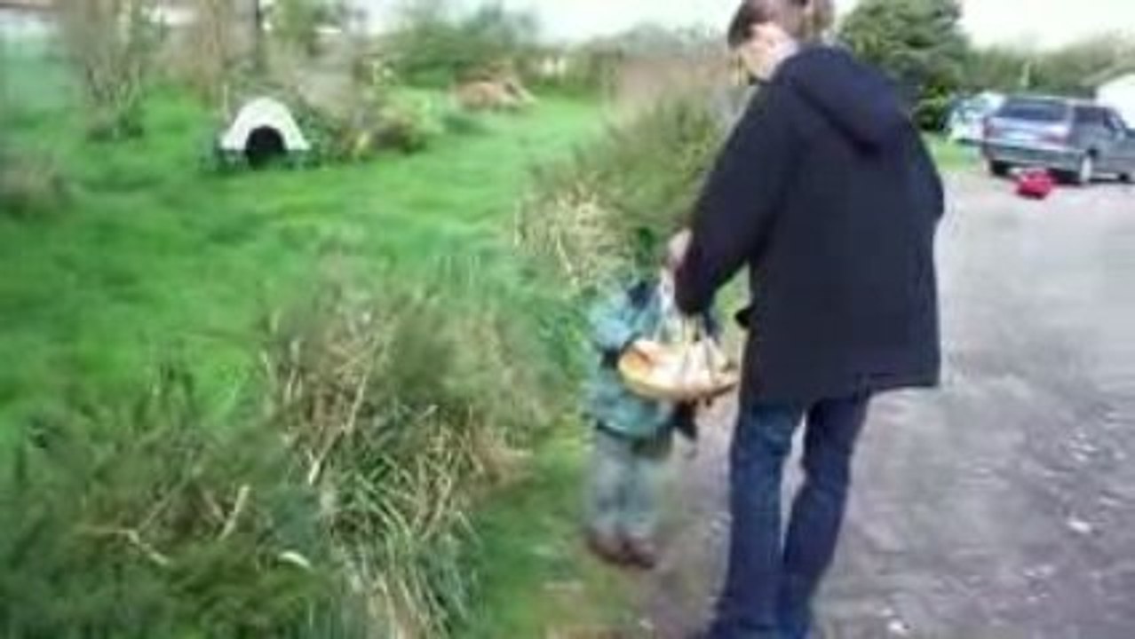 Encore des oeufs!