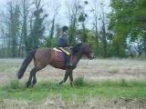 galop shakty ac chachou