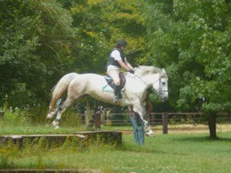 Cheval et moi