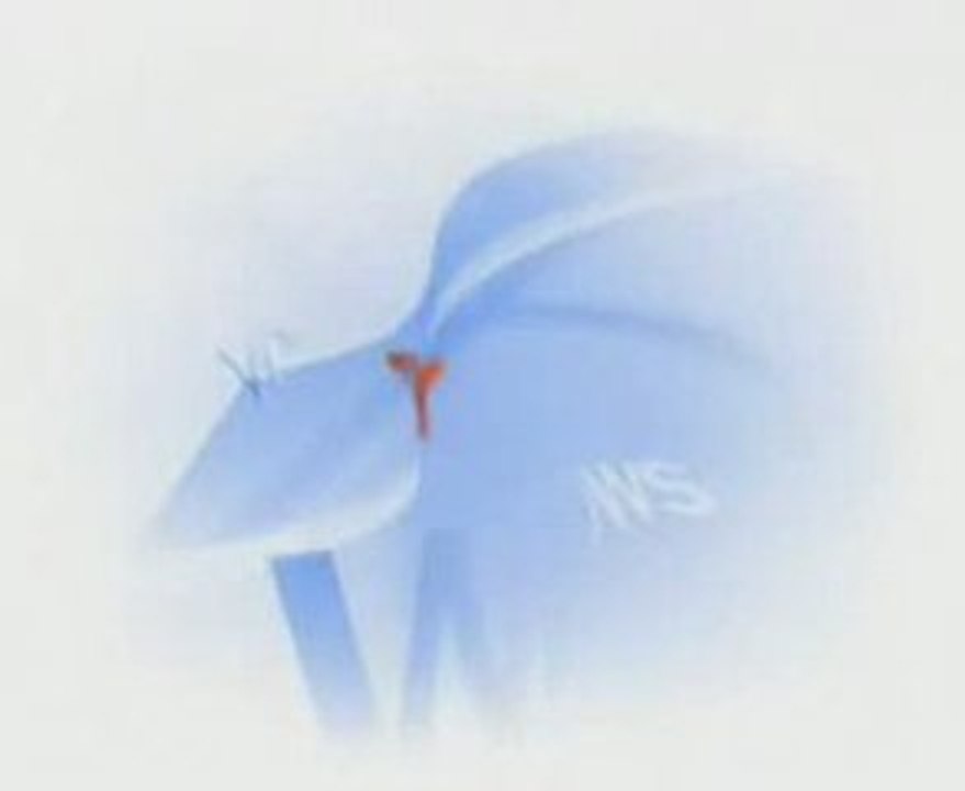 Xp
