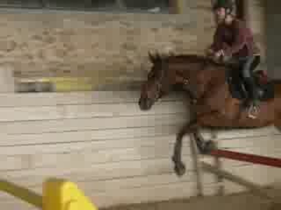 Obs24