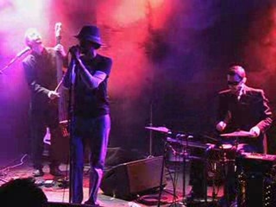 NAAB live@la Maroquinerie - Paris avril 2009