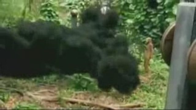 Lost - 5x14 - The Variable - Promo