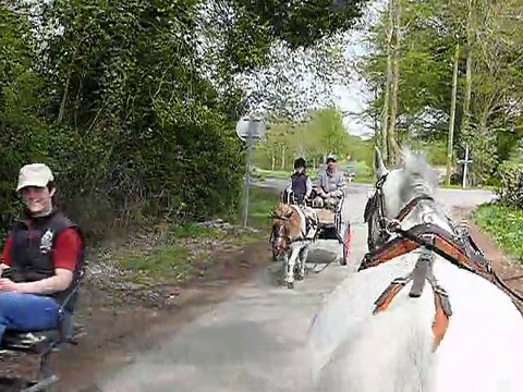 Conty : sur le parcours du concours international d'attelage