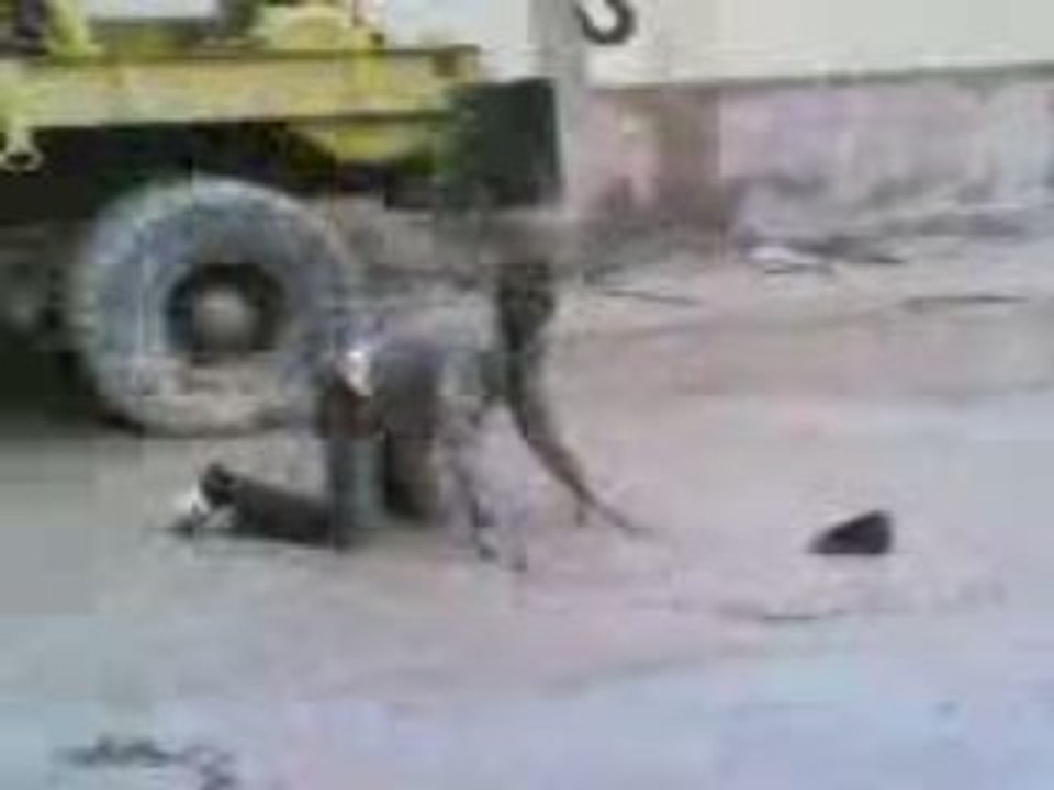 LKA3RAR