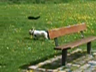 on patauge dans l'eau au parc...