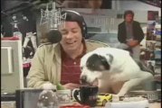 Free Radio's Dog Humping John Stamos' Leg- a Parry Gripp ...